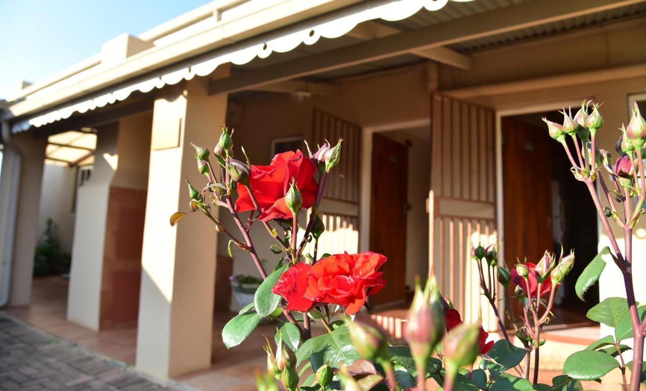 Villa Moria Peace Cottage Dullstroom Extérieur photo